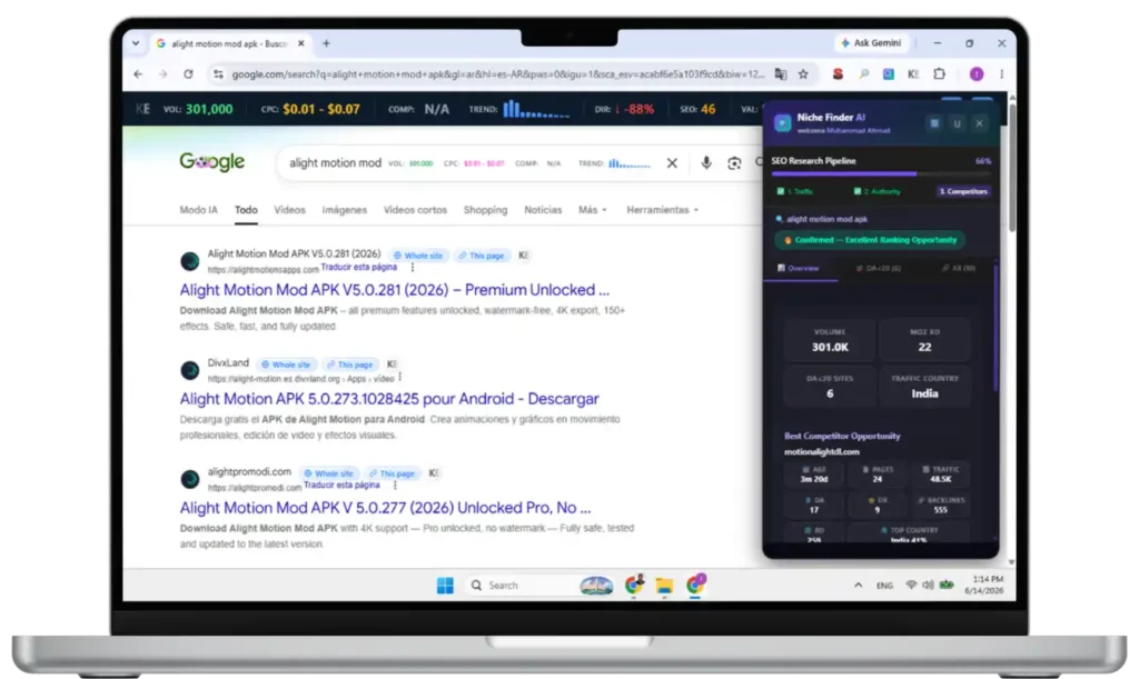 Niche Finder AI Chrome Extension
